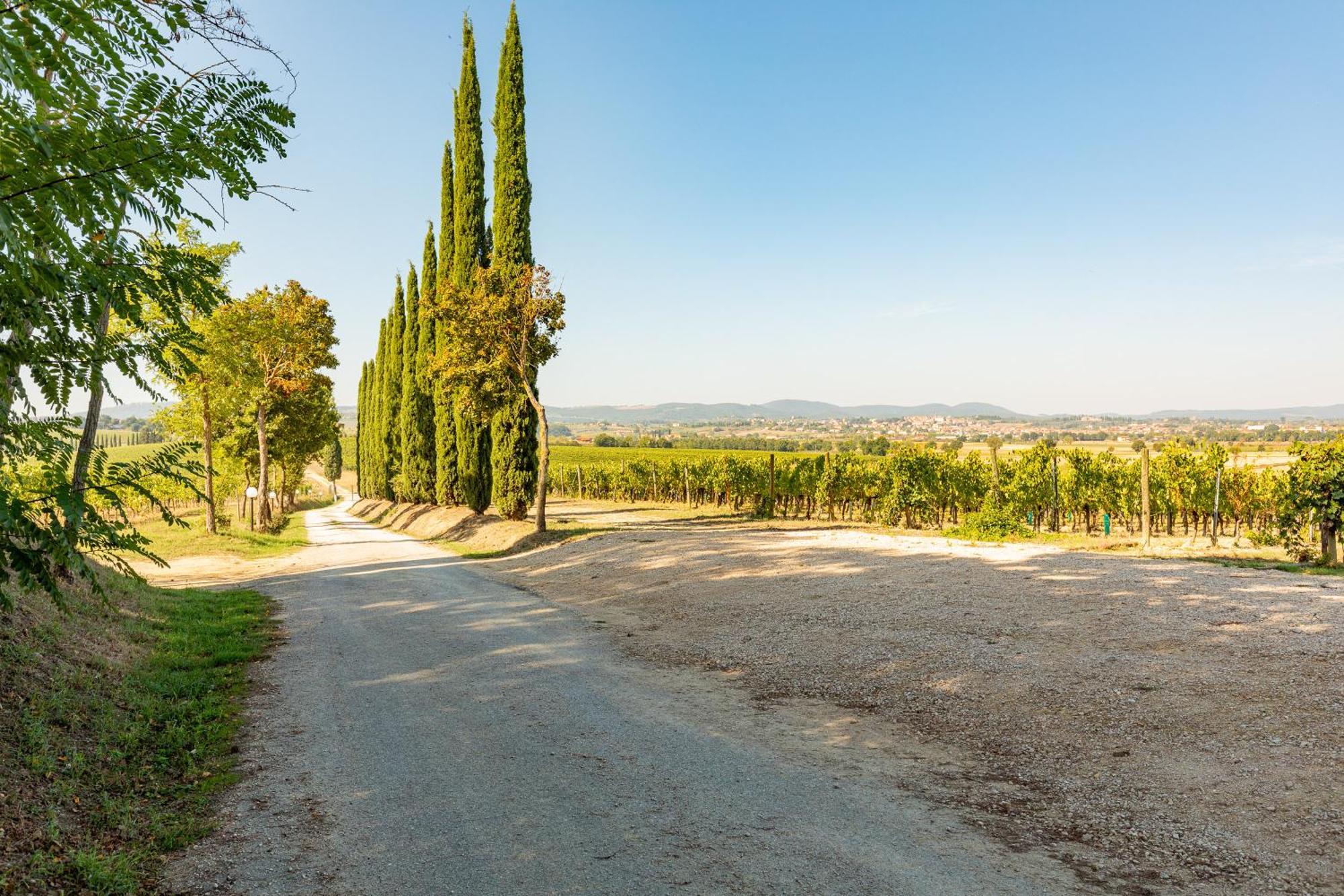 Vermentino Villa Montepulciano Stazione Kültér fotó