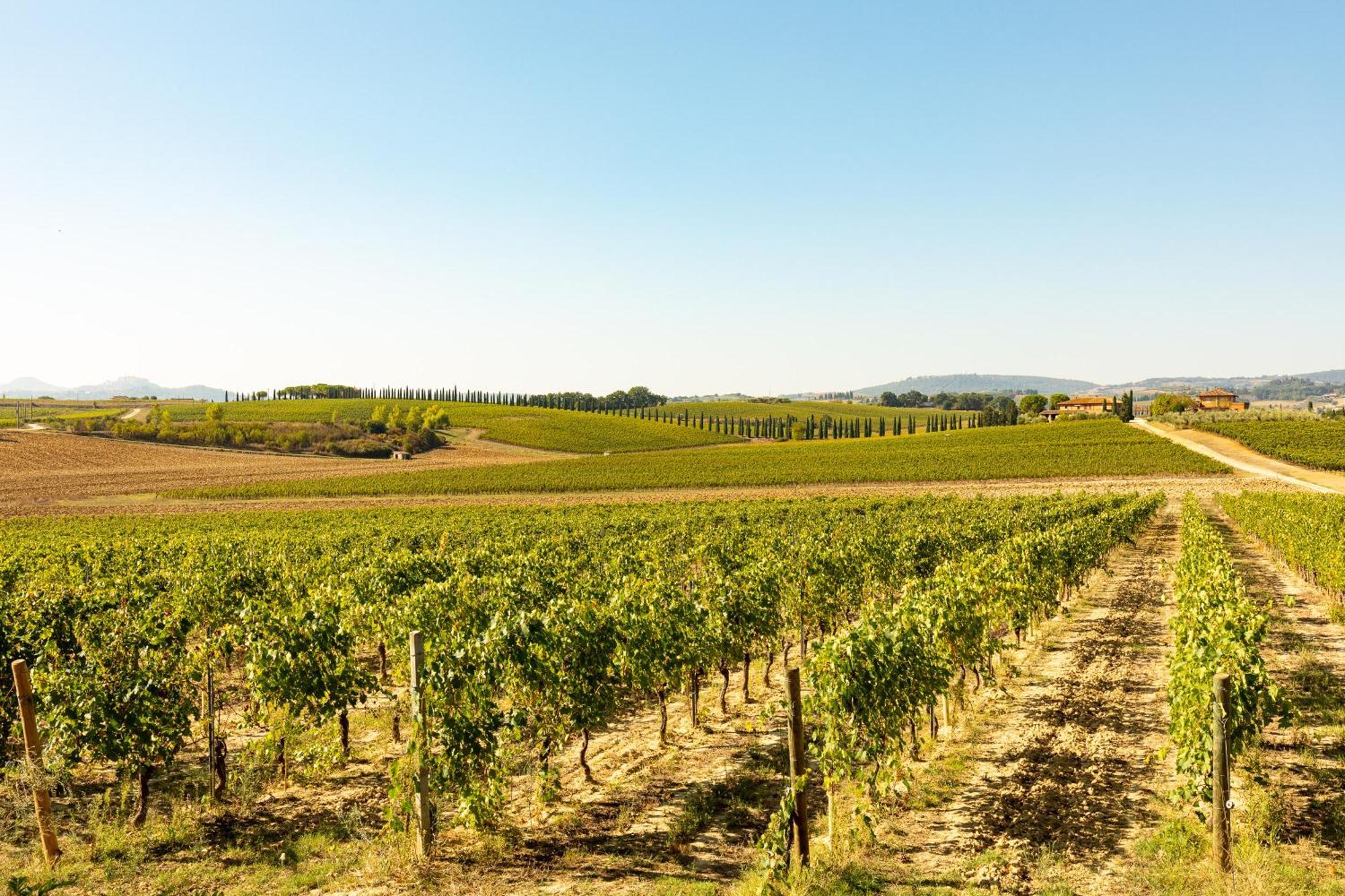 Vermentino Villa Montepulciano Stazione Kültér fotó