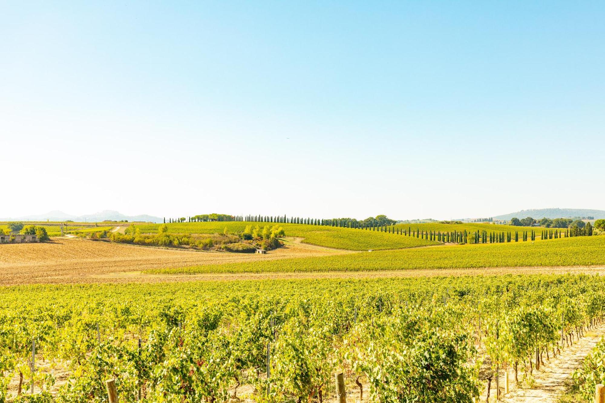 Vermentino Villa Montepulciano Stazione Kültér fotó