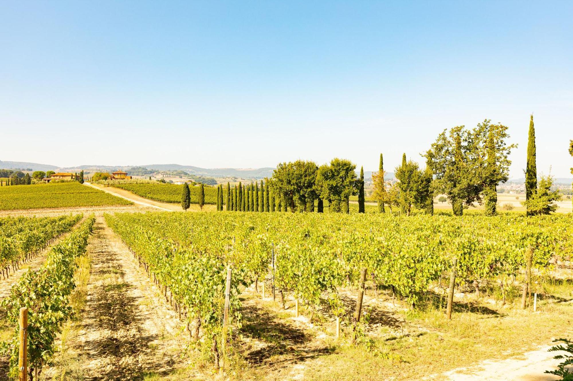 Vermentino Villa Montepulciano Stazione Kültér fotó